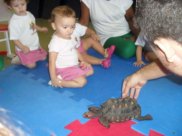 Ecobé